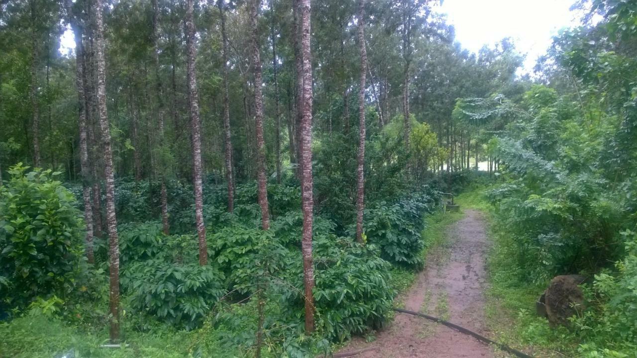Rai Cottage @ Coorg ,Suntikoppa Exterior foto
